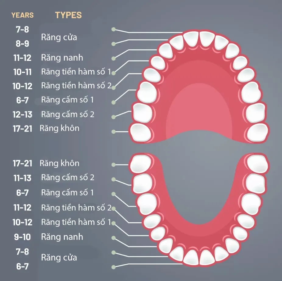 4. Phương pháp chăm sóc răng cấm đúng cách