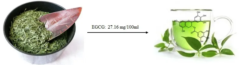 Trà xanh có chứa EGCG giúp giảm viêm và chống oxy hóa tốt