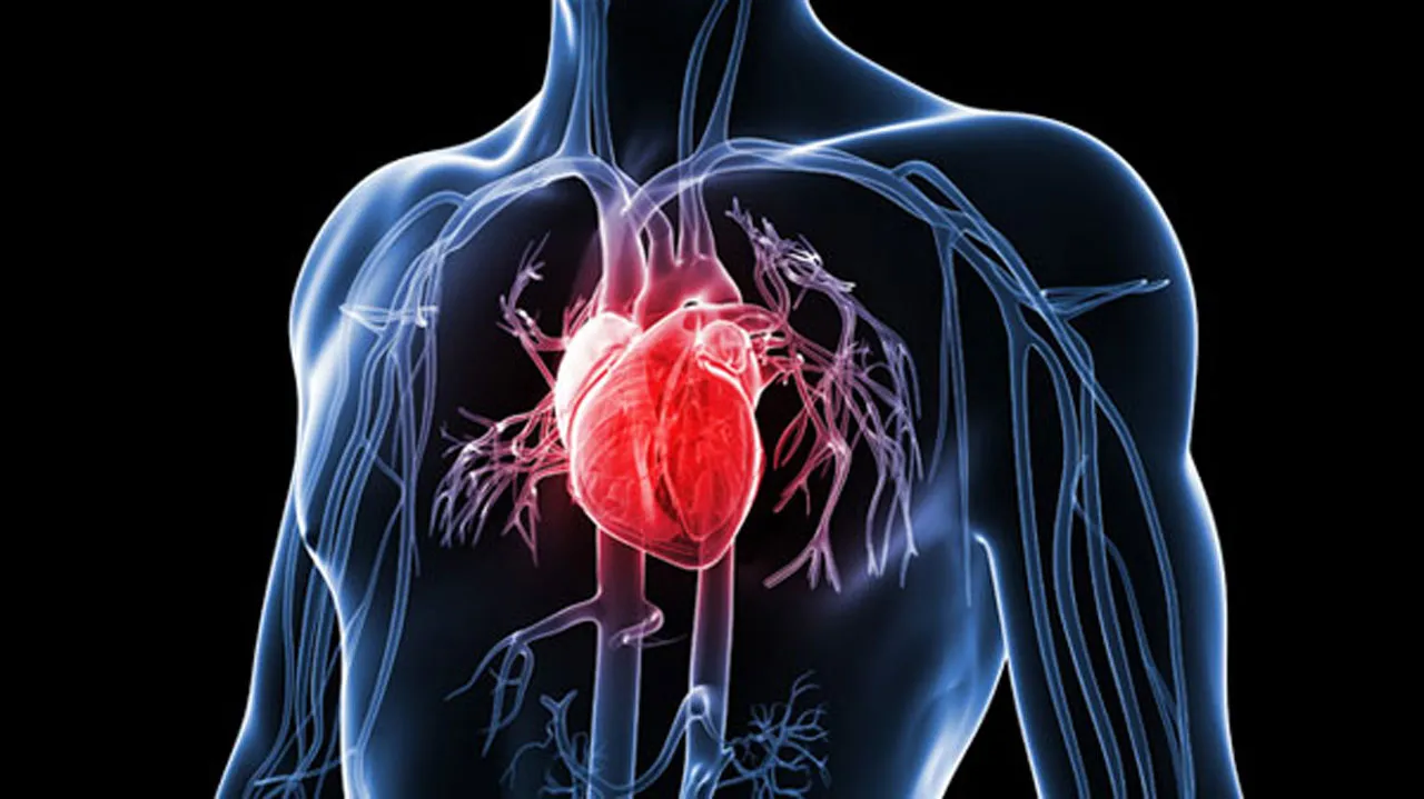 Viêm nha chu có thể dẫn đến nhiều bệnh về tim mạch